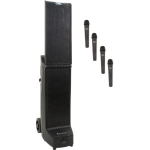 Bigfoot (U4) & 4 wireless mics
